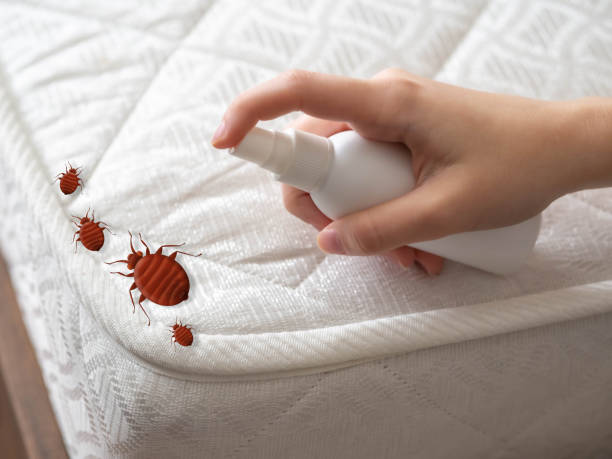 Best Emergency Pest Control  in Barrington, NJ